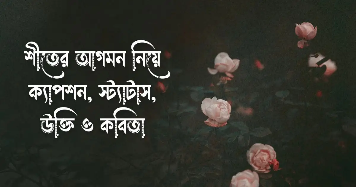 শীতের আগমন নিয়ে ক্যাপশন, স্ট্যাটাস, উক্তি ও কবিতা