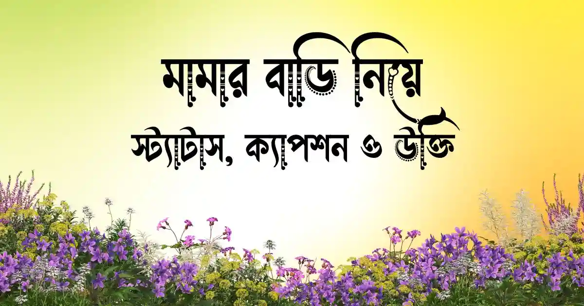 মামার বাড়ি নিয়ে স্ট্যাটাস, ক্যাপশন ও উক্তি