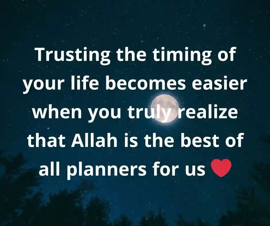 ইংরেজিতে ইসলামিক স্ট্যাটাস Islamic Status English