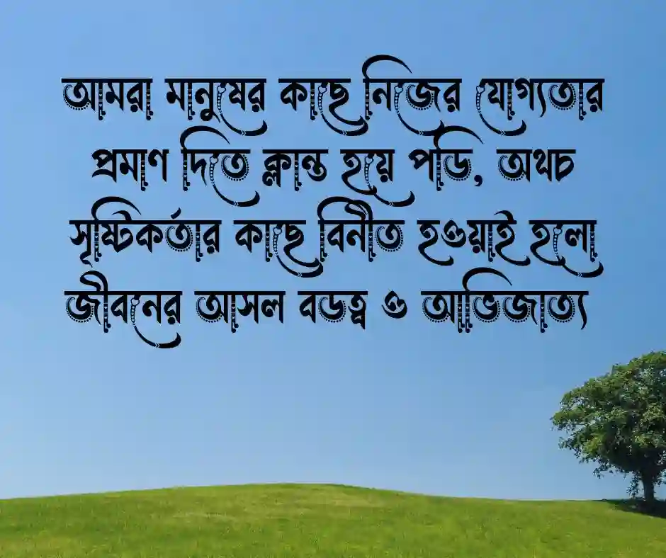 ইসলামিক স্ট্যাটাস পিকচার ২০২৬ Islamic Photo