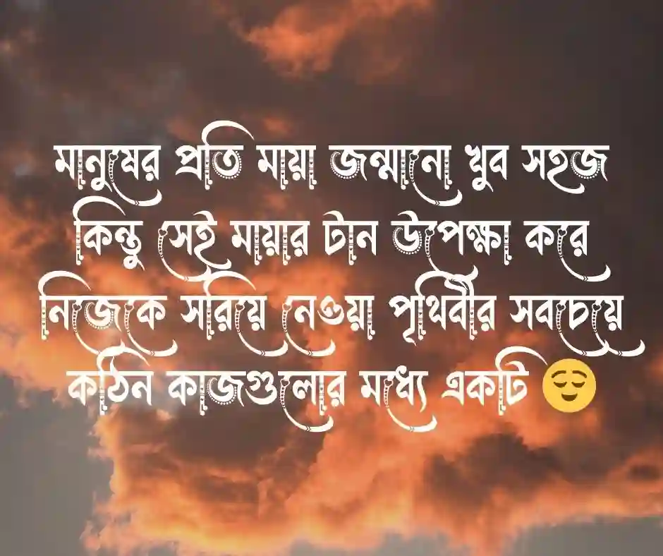 কারো প্রতি মায়া নিয়ে উক্তি