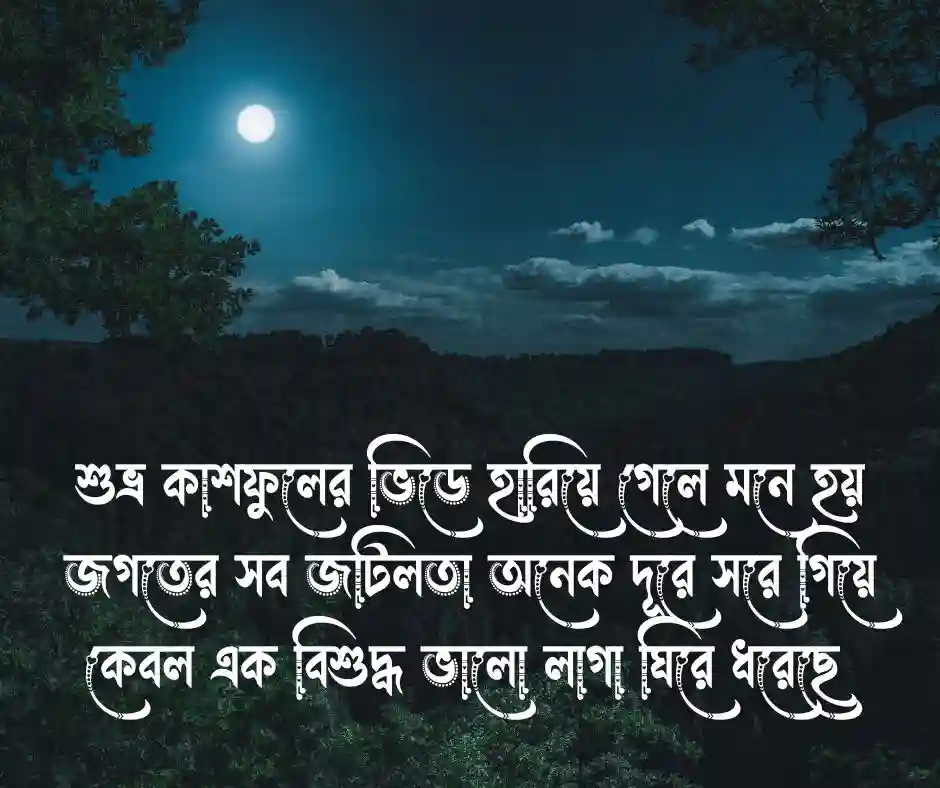কাশফুল নিয়ে ক্যাপশন