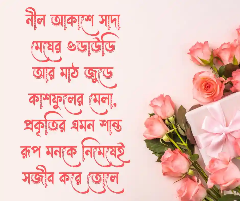 কাশফুল নিয়ে ছোট ক্যাপশন