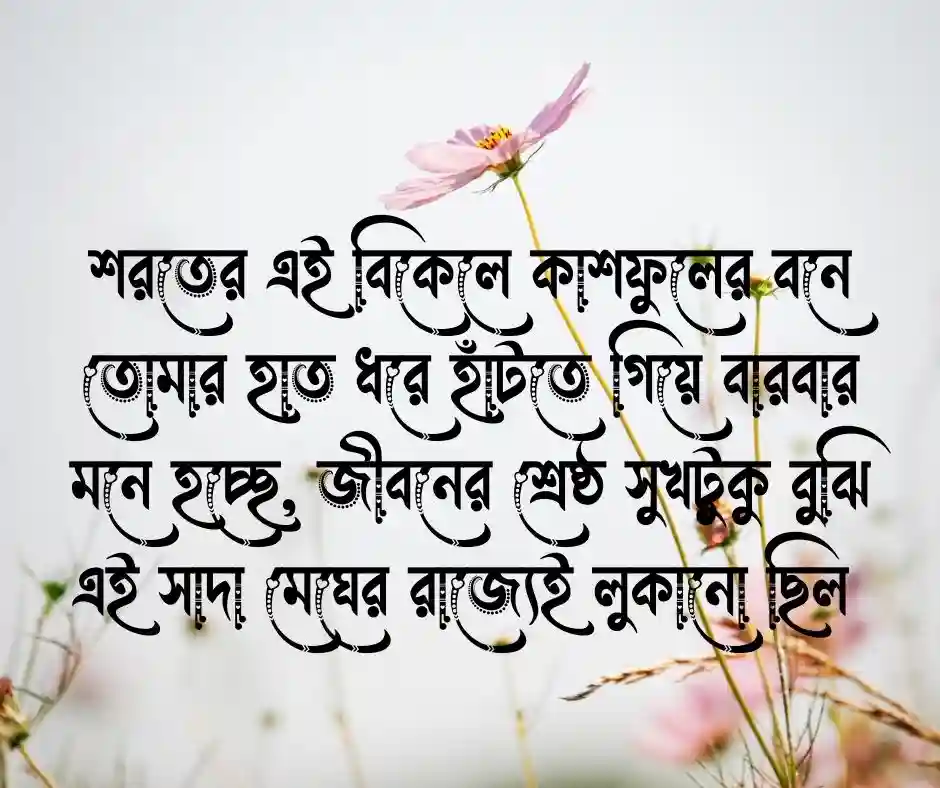 কাশফুল নিয়ে প্রেমের ক্যাপশন