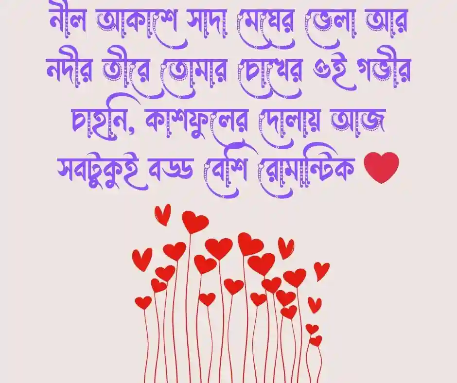 কাশফুল নিয়ে রোমান্টিক ক্যাপশন