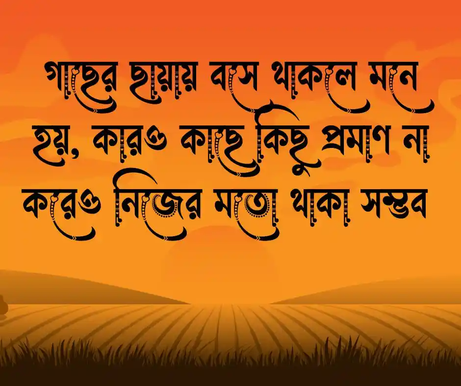 গাছ নিয়ে আমার অনুভূতি ক্যাপশন