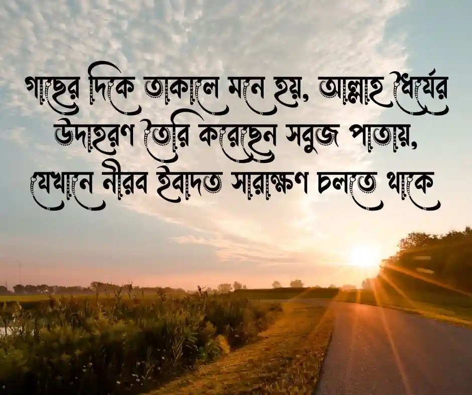 গাছ নিয়ে ইসলামিক উক্তি