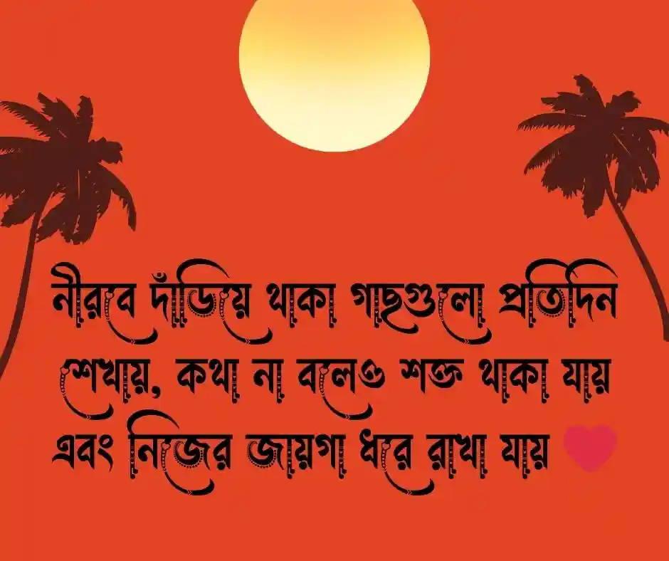 গাছ নিয়ে উক্তি