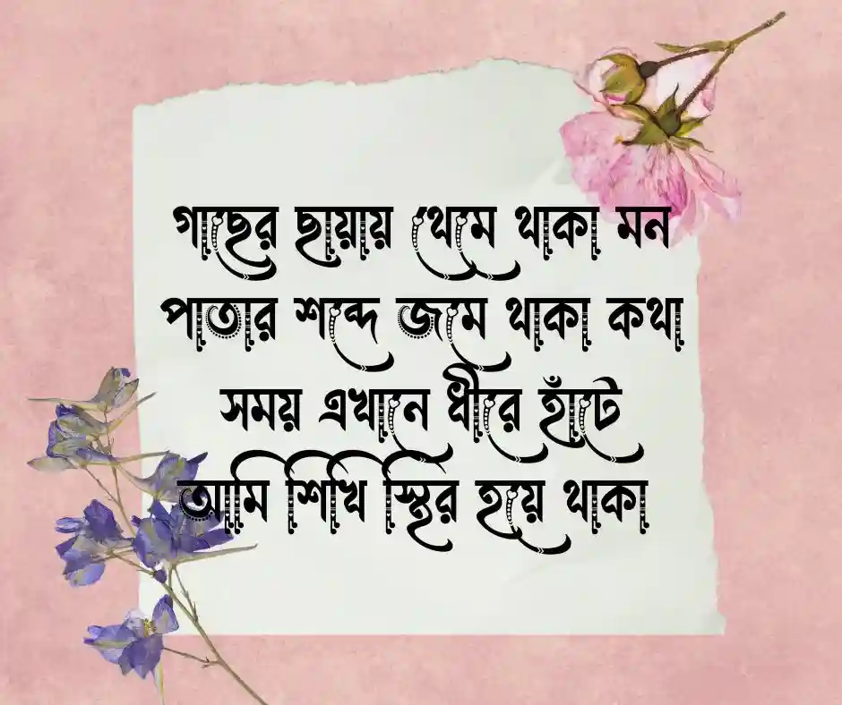 গাছ নিয়ে কবিতা লাইন