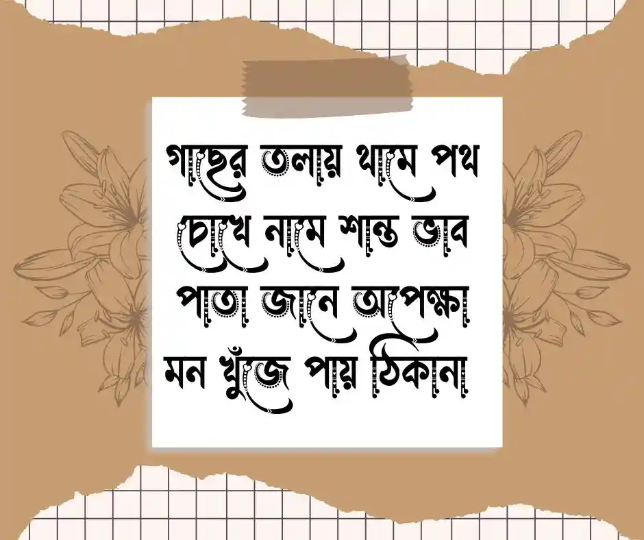 গাছ নিয়ে ছন্দ