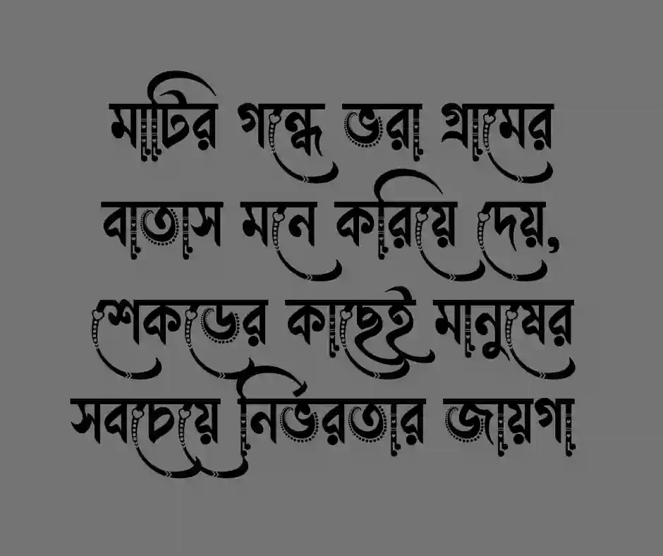 গ্রামের প্রকৃতি নিয়ে ক্যাপশন