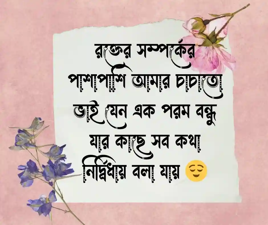 চাচাতো ভাই নিয়ে স্ট্যাটাস.