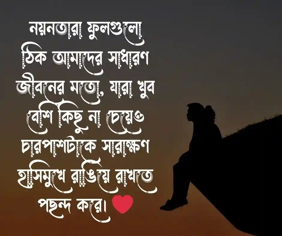 নয়নতারা ফুল নিয়ে ক্যাপশন
