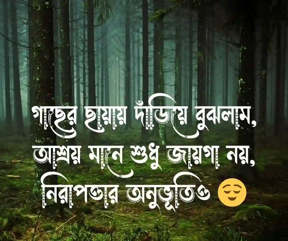 প্রকৃতি নিয়ে স্ট্যাটাস Nature Caption Bangla