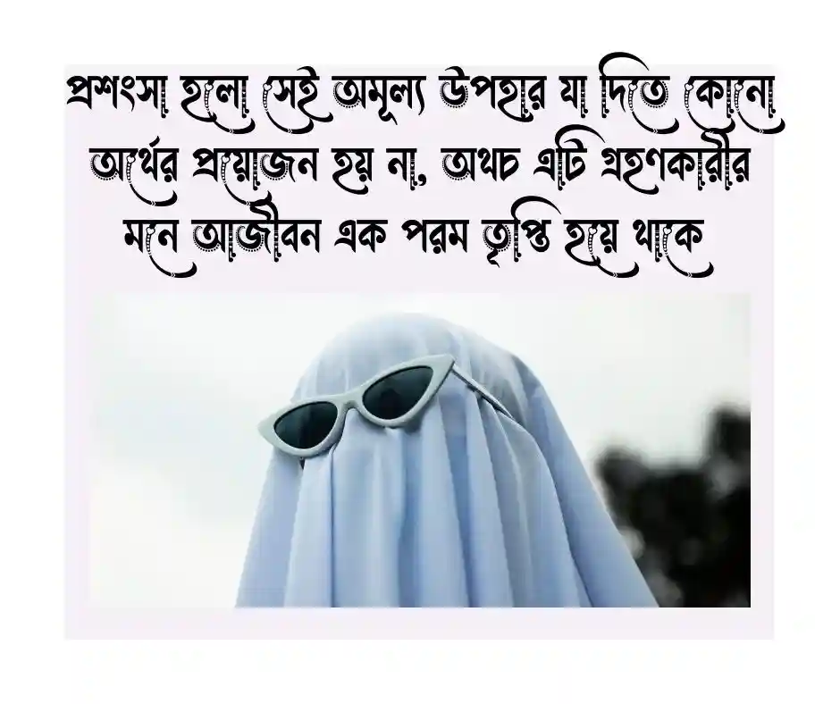 প্রশংসা নিয়ে উক্তি