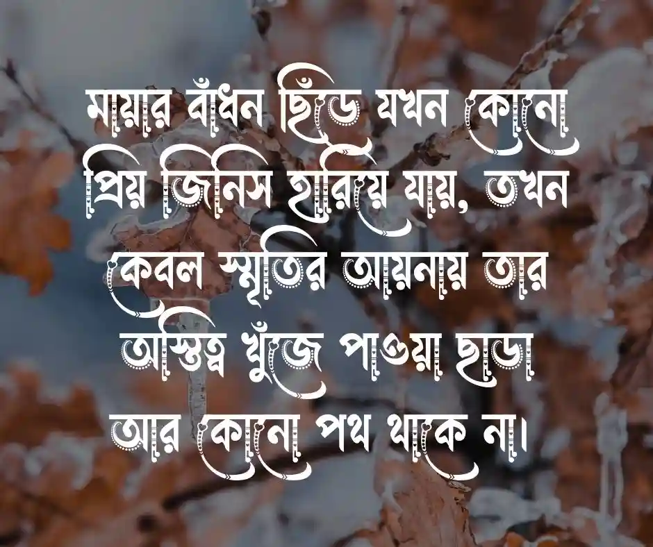প্রিয় জিনিস হারিয়ে যাওয়া নিয়ে উক্তি (2)