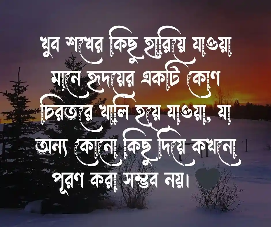 প্রিয় জিনিস হারিয়ে যাওয়া নিয়ে উক্তি