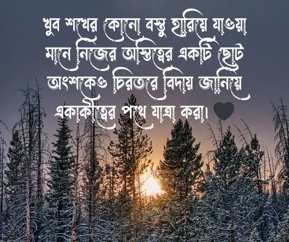 প্রিয় জিনিস হারিয়ে যাওয়া নিয়ে ক্যাপশন