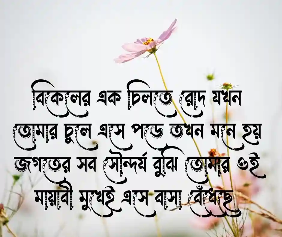প্রিয় মানুষকে নিয়ে কিছু রোমান্টিক কথা