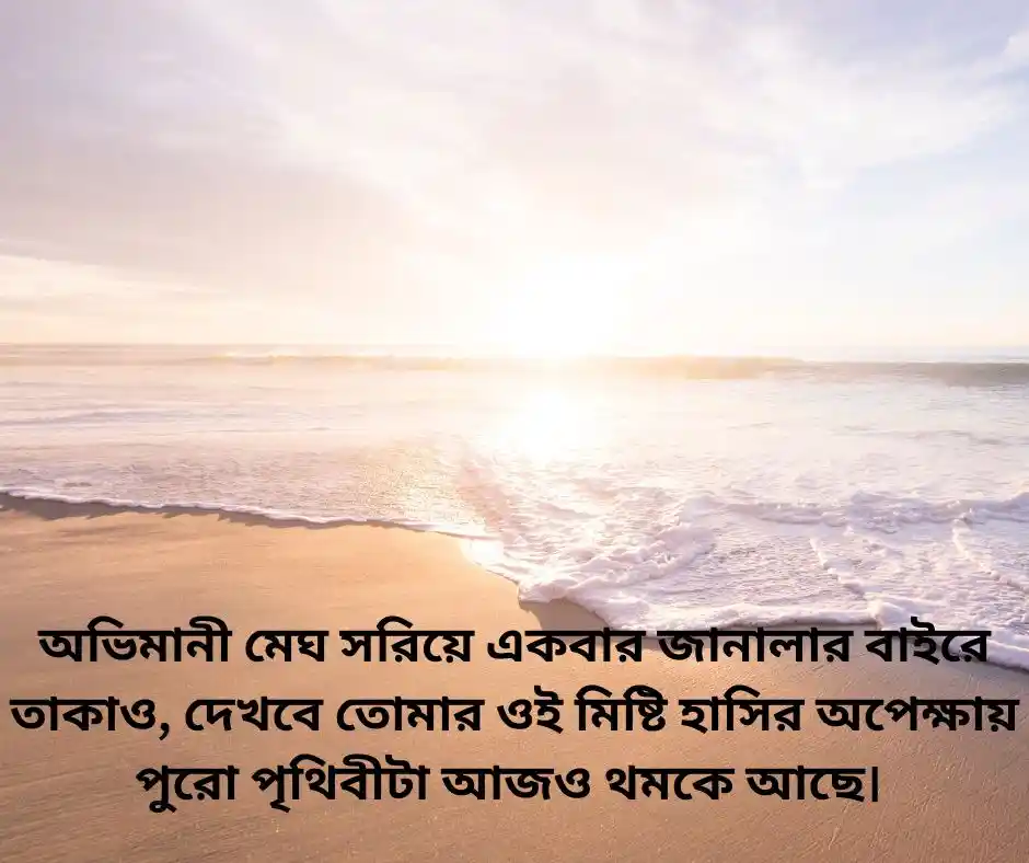 প্রিয় মানুষের মন ভালো করার মেসেজ (1)