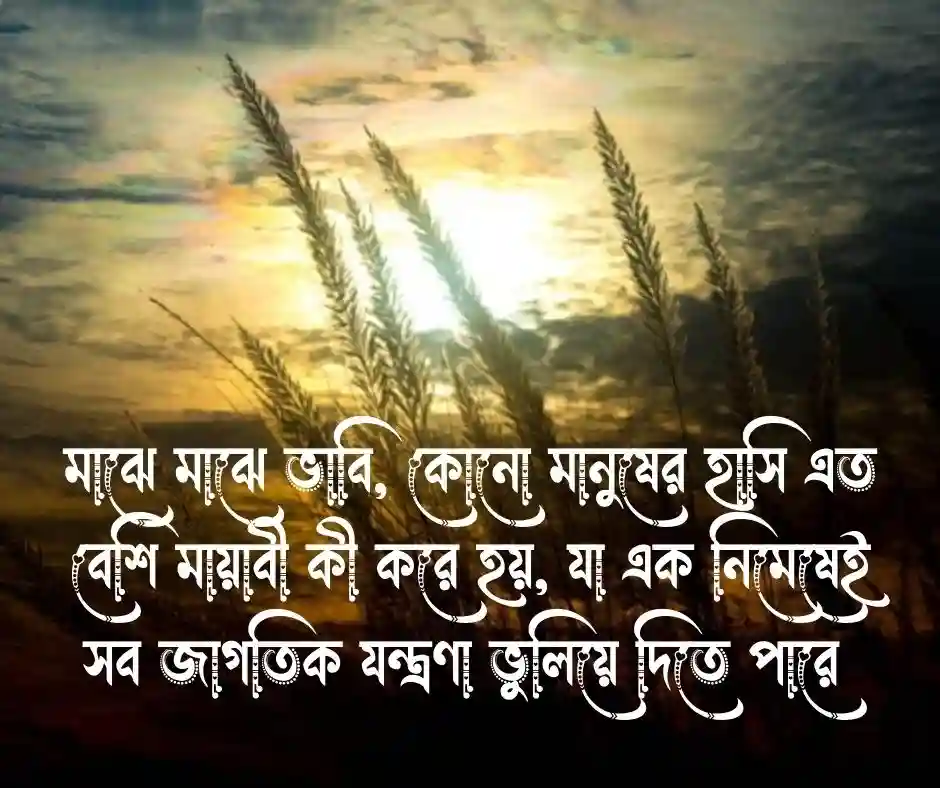 প্রেমিকার সৌন্দর্য নিয়ে প্রশংসা মেসেজ