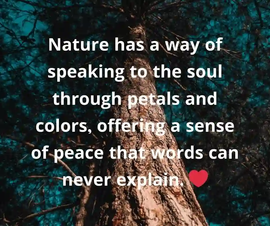 ফুল নিয়ে ক্যাপশন English