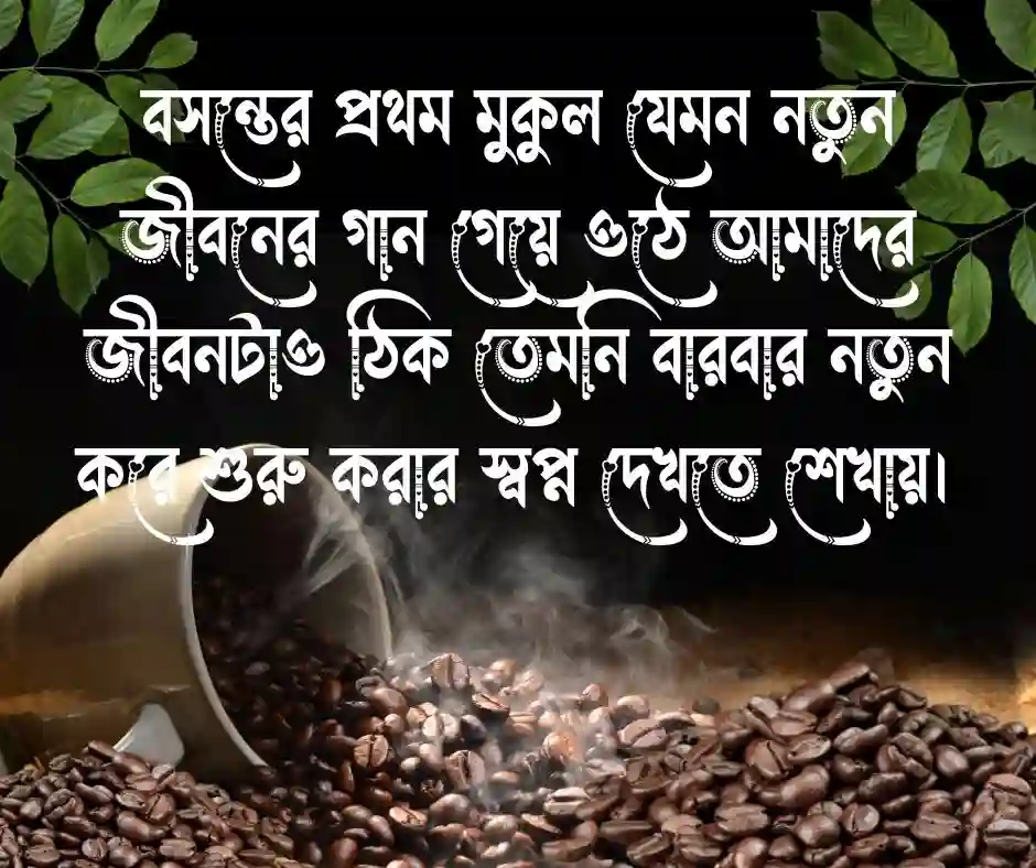 ফুল নিয়ে স্ট্যাটাস.