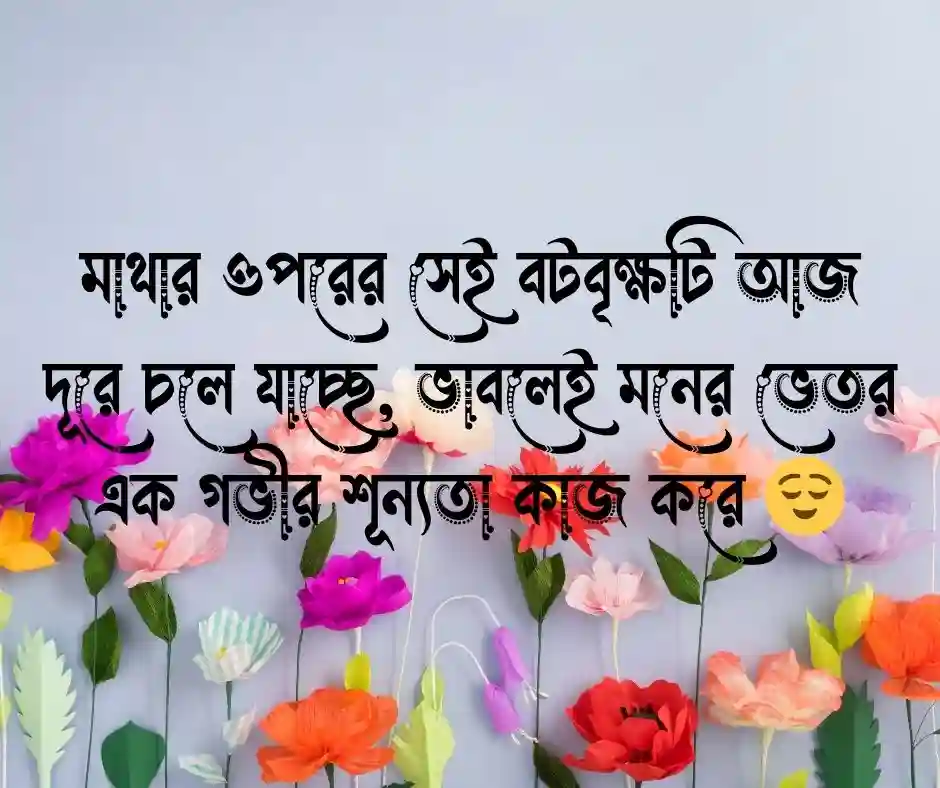 বড় ভাই বিদেশ যাওয়ার স্ট্যাটাস