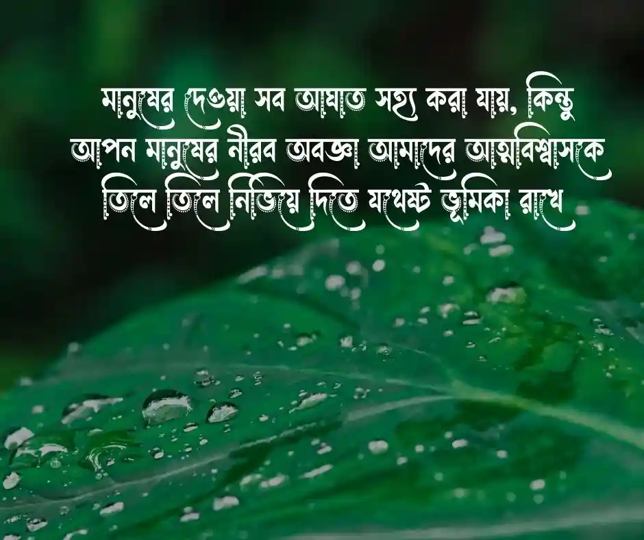 বাংলা জটিল ক্যাপশন