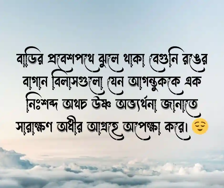 বাগান বিলাস ফুল নিয়ে ক্যাপশন