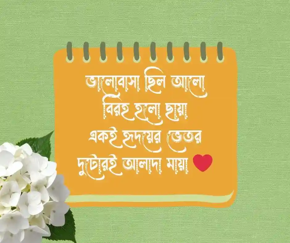 বিরহের কবিতা উক্তি