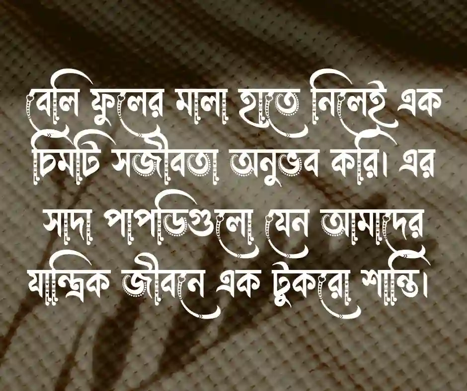 বেলি ফুল নিয়ে ক্যাপশন