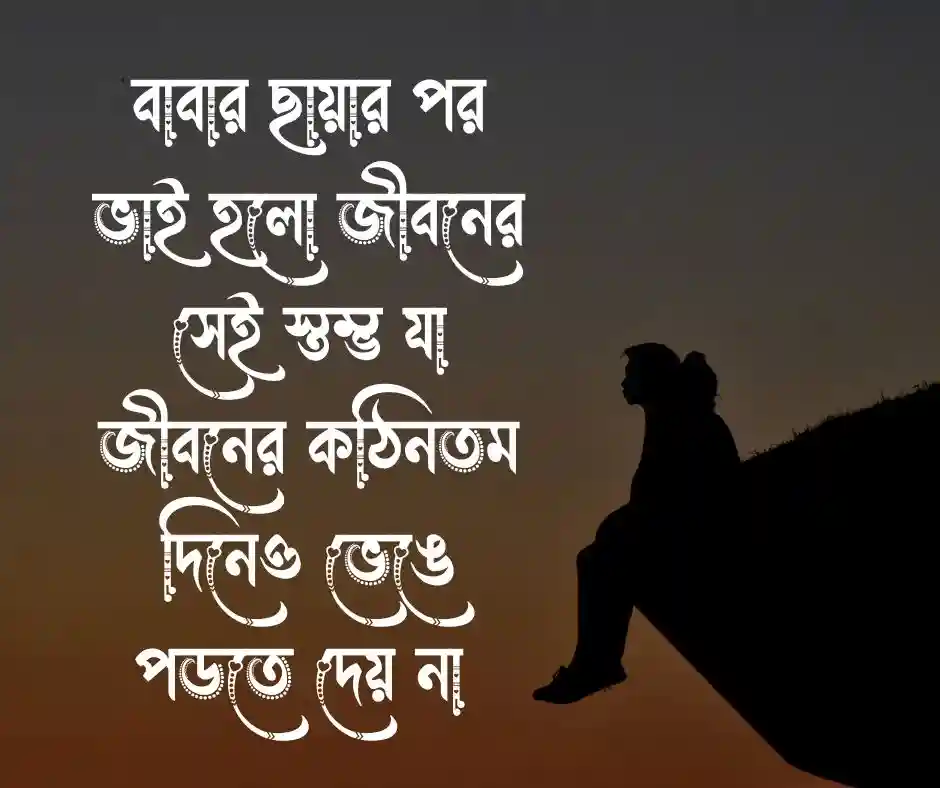 ভাই নিয়ে ক্যাপশন ভাই নিয়ে স্ট্যাটাস