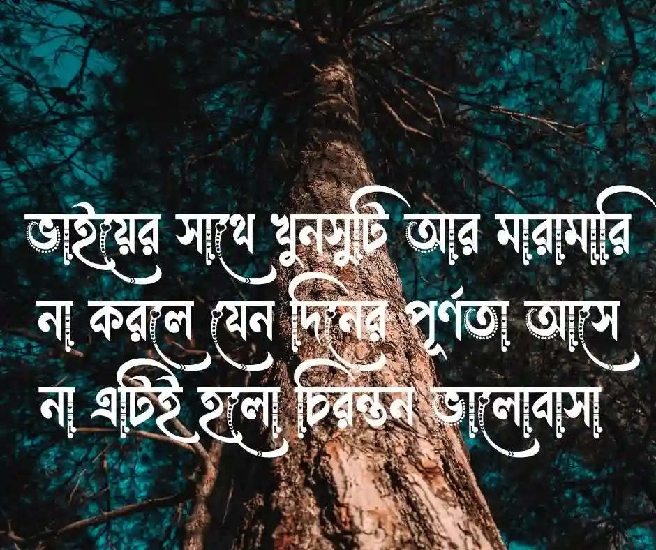 ভাই নিয়ে ক্যাপশন