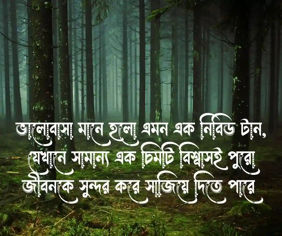 ভালোবাসার ক্যাপশন বাংলা ছোট