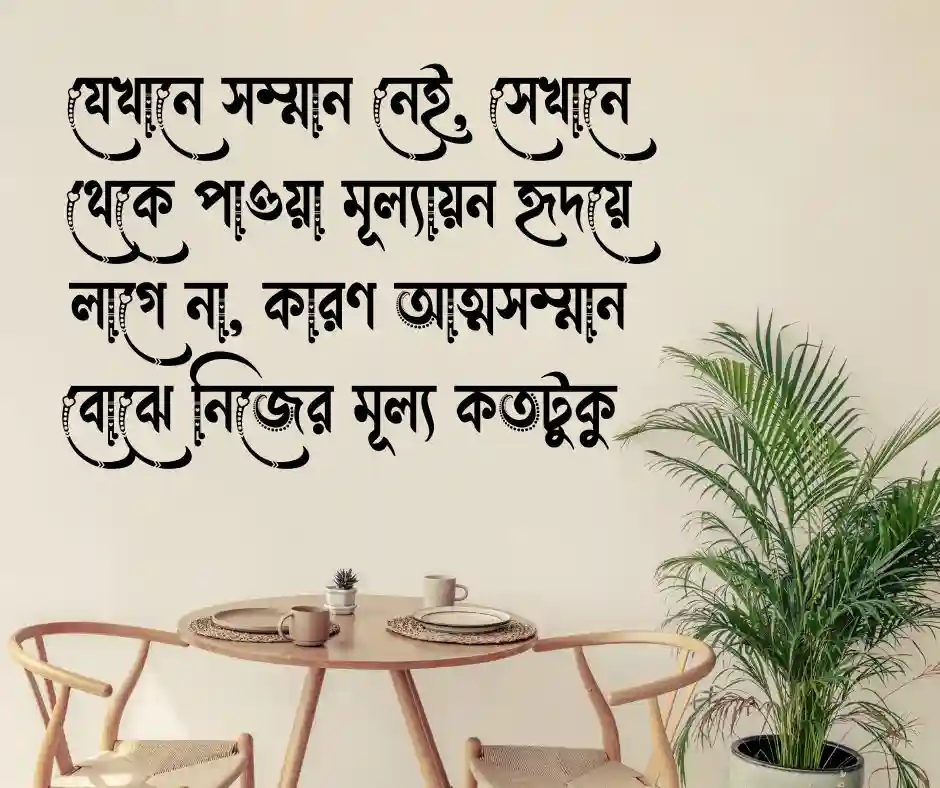 মূল্যায়ন নিয়ে উক্তি