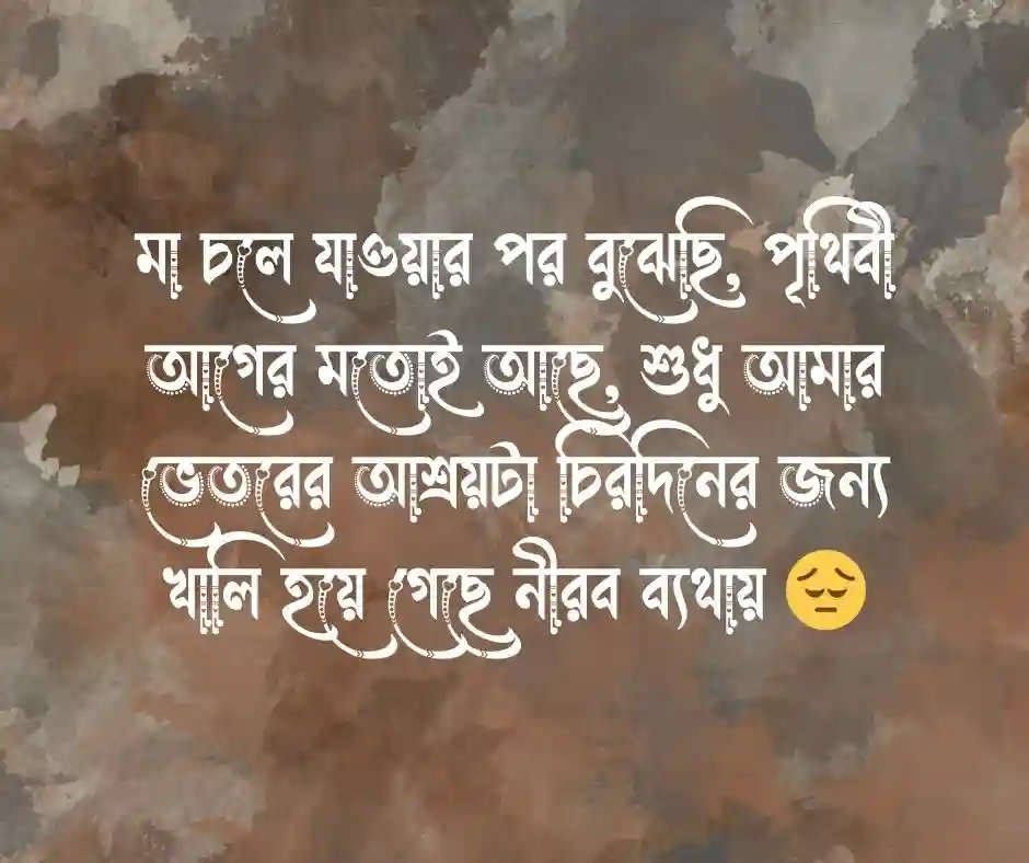 মৃত মাকে মিস করা নিয়ে স্ট্যাটাস