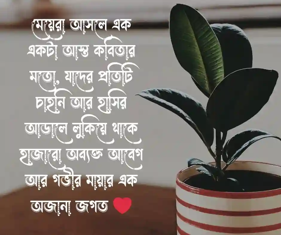 মেয়েদের নিয়ে রোমান্টিক স্ট্যাটাস