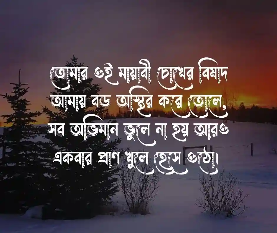 মেয়েদের মন ভালো করার মেসেজ