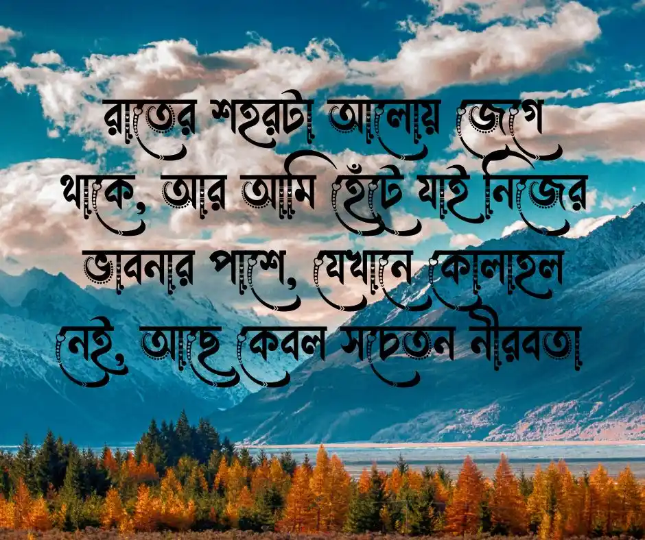 রাতের শহর ক্যাপশন