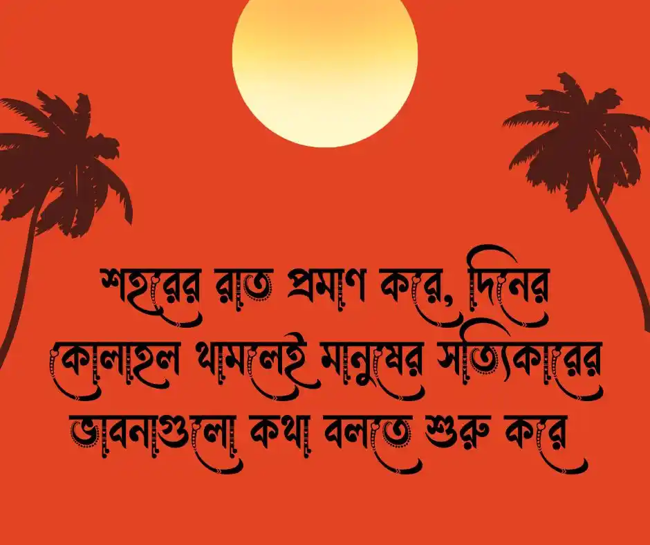রাতের শহর নিয়ে উক্তি