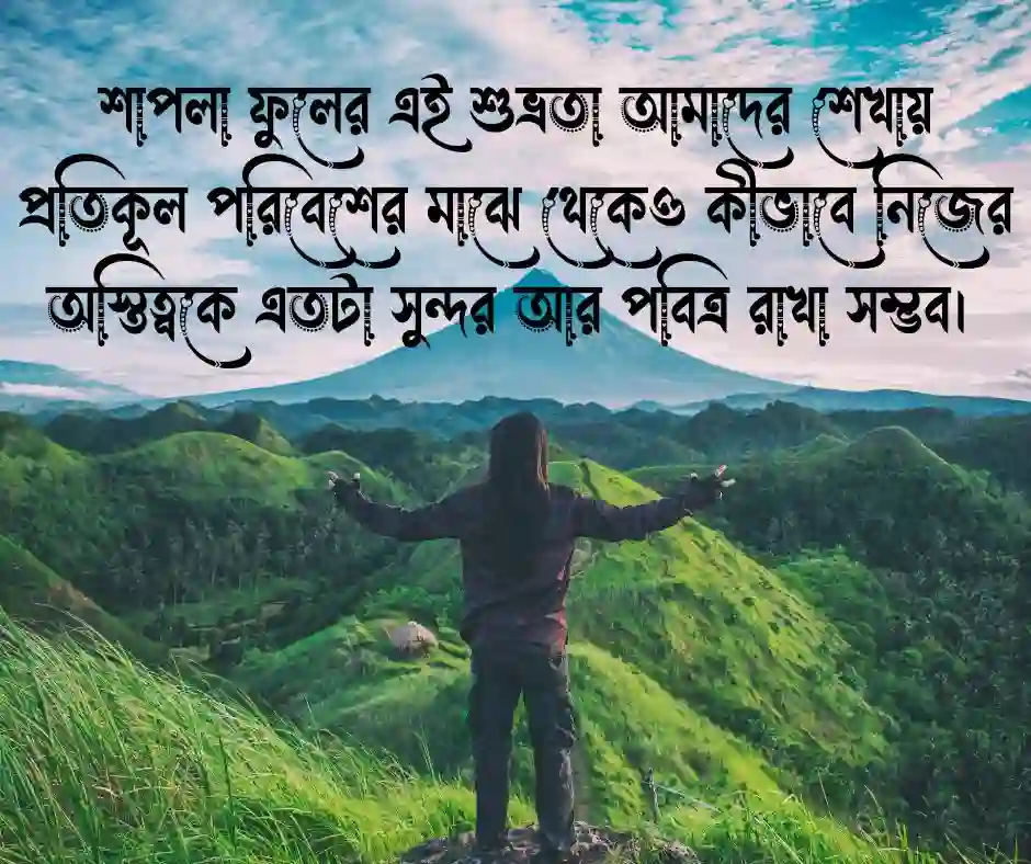 শাপলা ফুল নিয়ে ক্যাপশন
