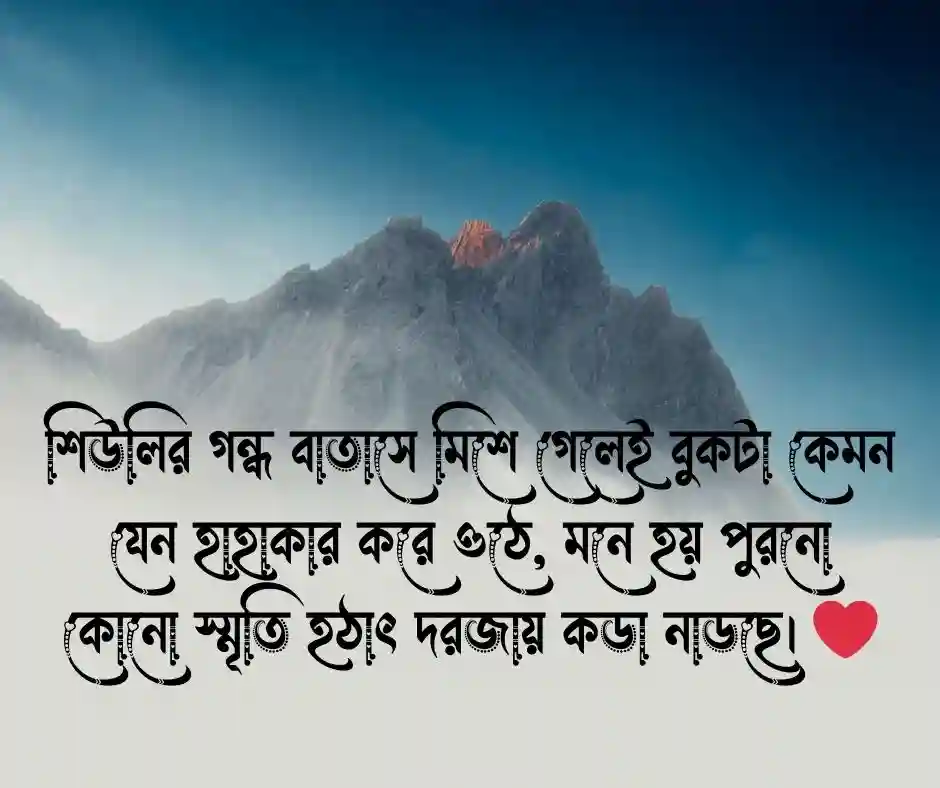 শিউলি ফুল নিয়ে ক্যাপশন