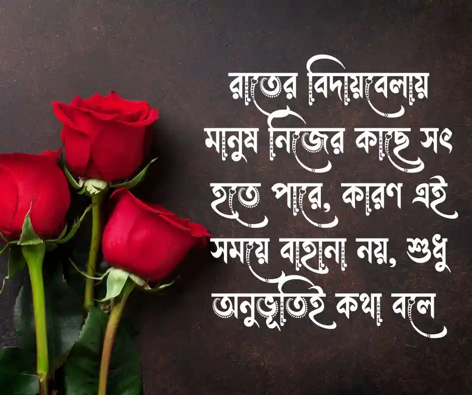 শুভ রাত্রি নিয়ে উক্তি