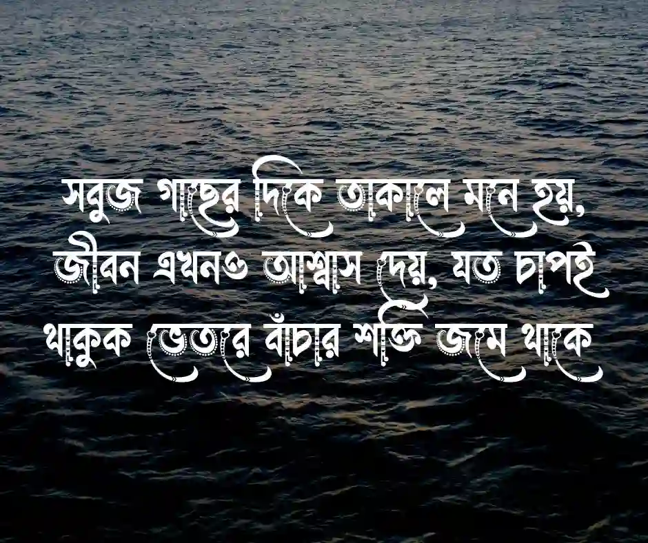 সবুজ গাছ নিয়ে উক্তি