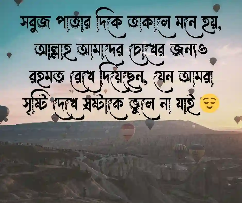 সবুজ প্রকৃতি নিয়ে ইসলামিক ক্যাপশন