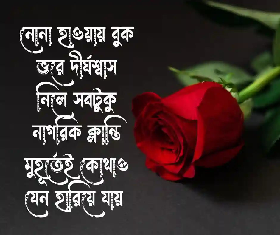 সমুদ্র বিলাস সমুদ্র নিয়ে ক্যাপশন