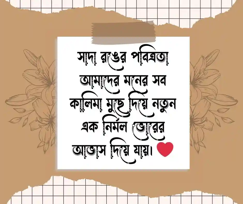 সাদার শুভ্রতা নিয়ে ক্যাপশন