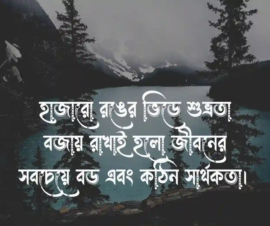 সাদা নিয়ে ক্যাপশন সাদা নিয়ে স্ট্যাটাস