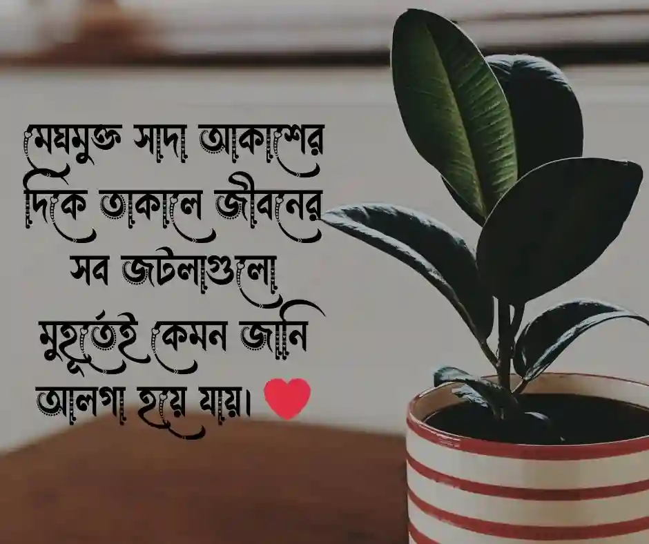 সাদা নিয়ে স্ট্যাটাস
